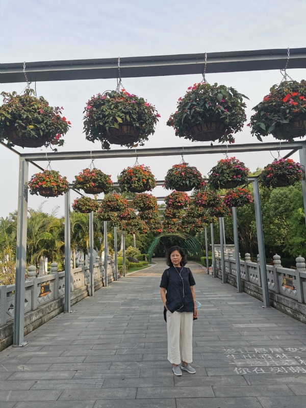 一叶知秋的第二张照片--厦门认干亲服务网